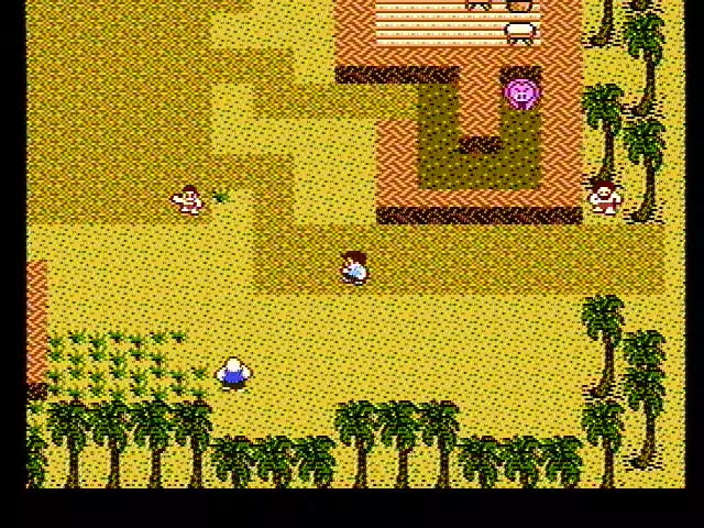 -StarTropics (1990)-游戏截图-好玩游戏库