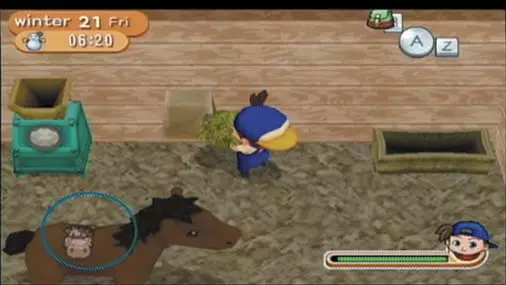 -Harvest Moon: Magical Melody-游戏截图-好玩游戏库