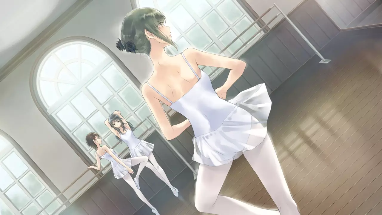 -Flowers -Le volume sur ete-游戏截图-好玩游戏库