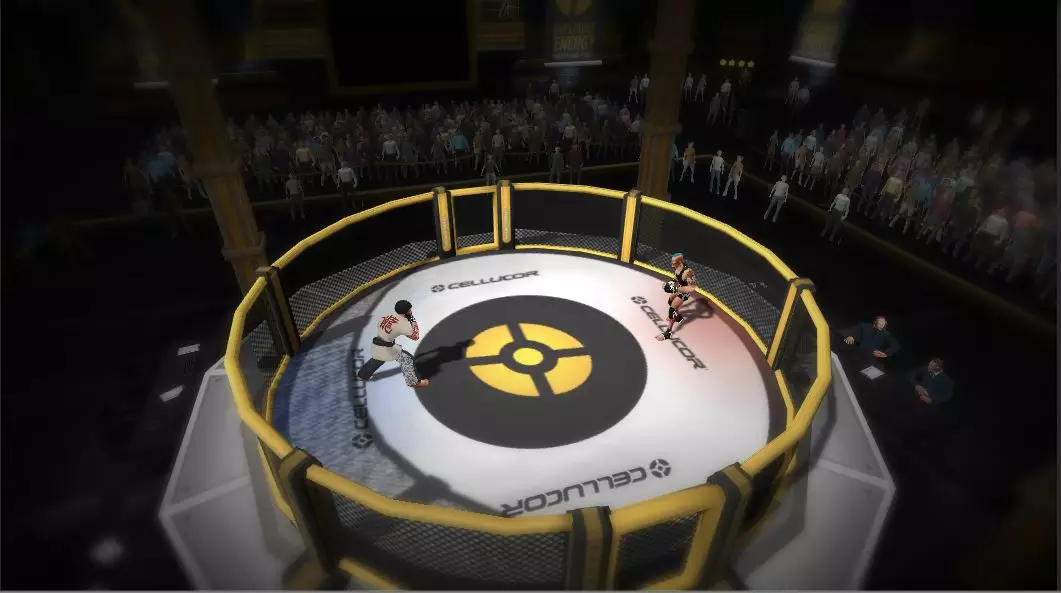 -MMA Arena-游戏截图-好玩游戏库
