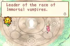 -Boktai: The Sun Is in Your Hand-游戏截图-好玩游戏库