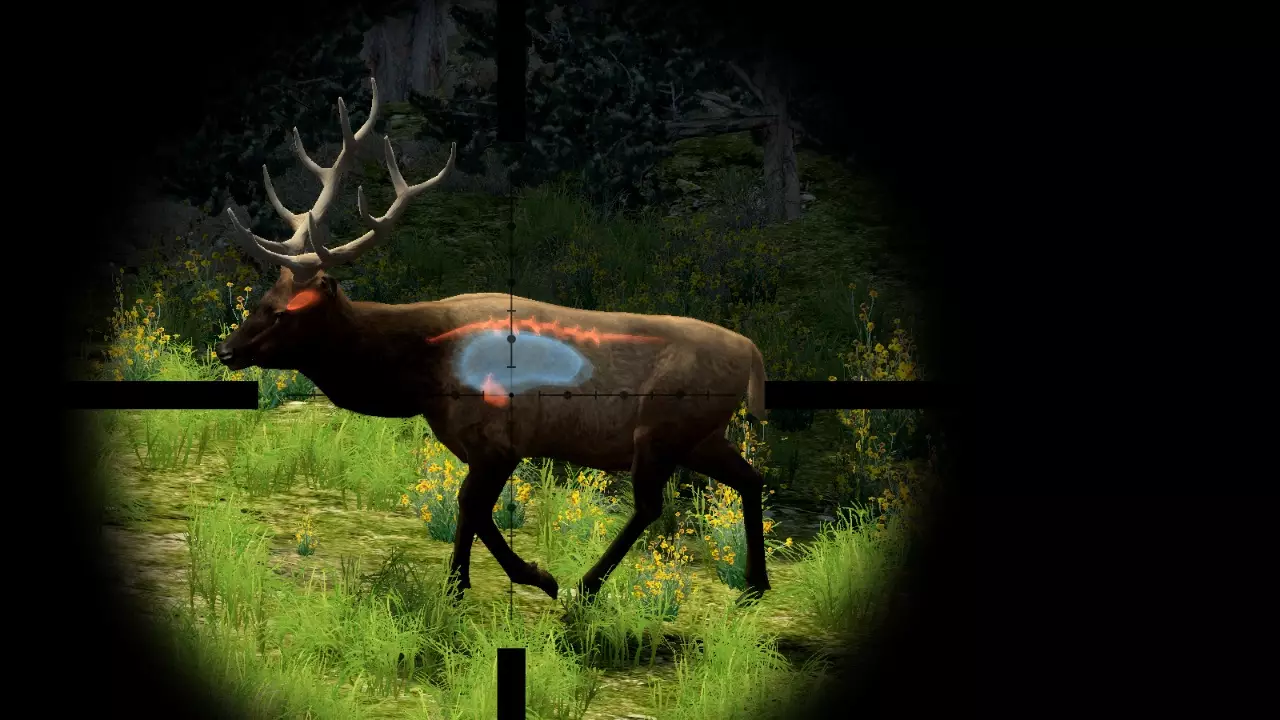 -Cabela's Big Game Hunter 2010-游戏截图-好玩游戏库