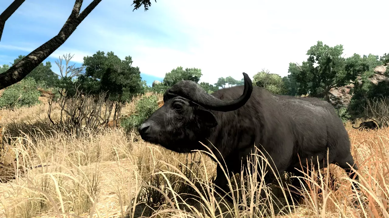 -Cabela's Big Game Hunter 2010-游戏截图-好玩游戏库