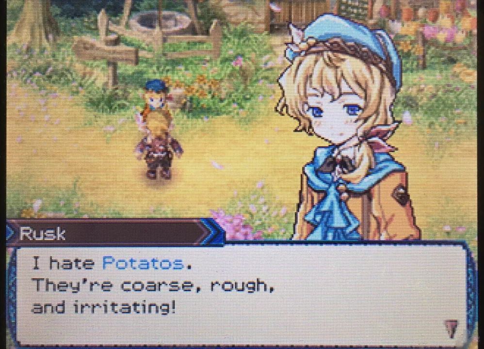 -Rune Factory 3: A Fantasy Harvest Moon-游戏截图-好玩游戏库