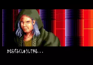 -Light Crusader (1995)-游戏截图-好玩游戏库