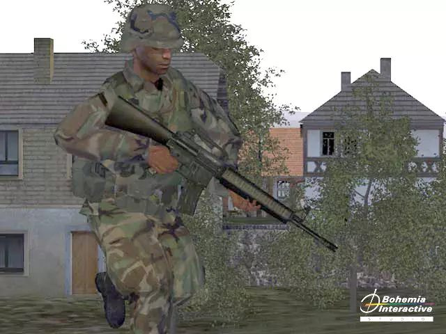 -Arma: Armed Assault-游戏截图-好玩游戏库
