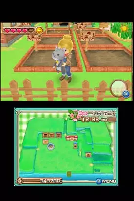 -Harvest Moon 3D: A New Beginning-游戏截图-好玩游戏库
