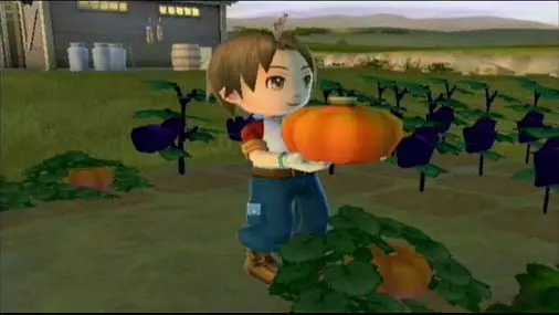 -Harvest Moon: Animal Parade-游戏截图-好玩游戏库