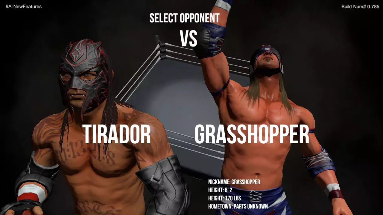 Pro Wrestling X