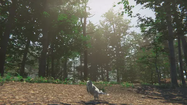 -Bird-游戏截图-好玩游戏库