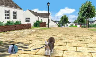 -Nintendogs + Cats-游戏截图-好玩游戏库