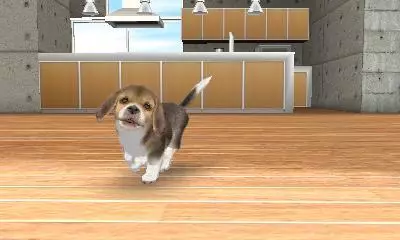 -Nintendogs + Cats-游戏截图-好玩游戏库