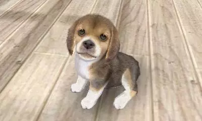 -Nintendogs + Cats-游戏截图-好玩游戏库