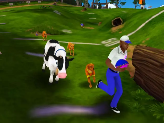 Jerry Rice & Nitus’ Dog Football