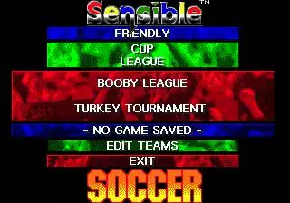 -Sensible Soccer-游戏截图-好玩游戏库