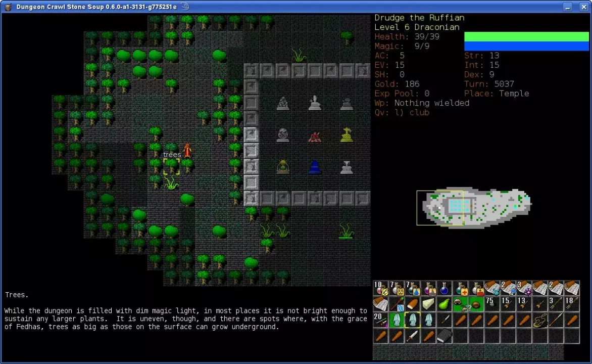 -Dungeon Crawl Stone Soup-游戏截图-好玩游戏库