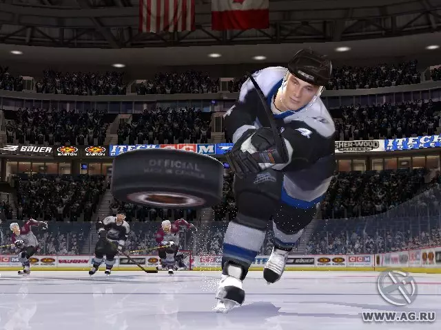 -NHL 06-游戏截图-好玩游戏库