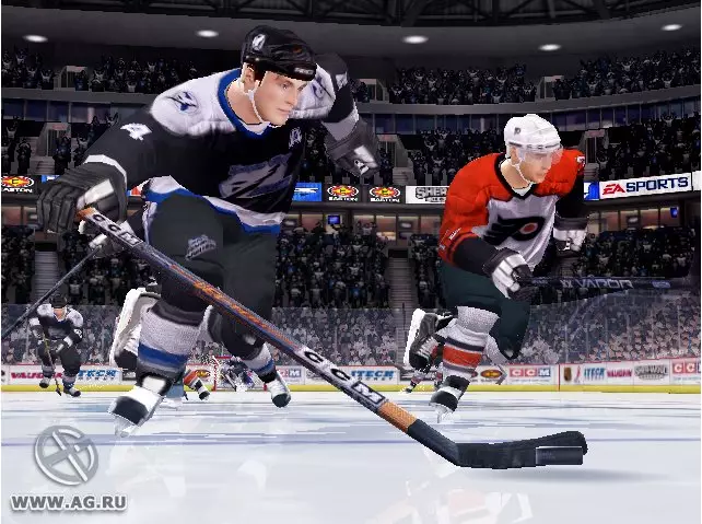 -NHL 06-游戏截图-好玩游戏库