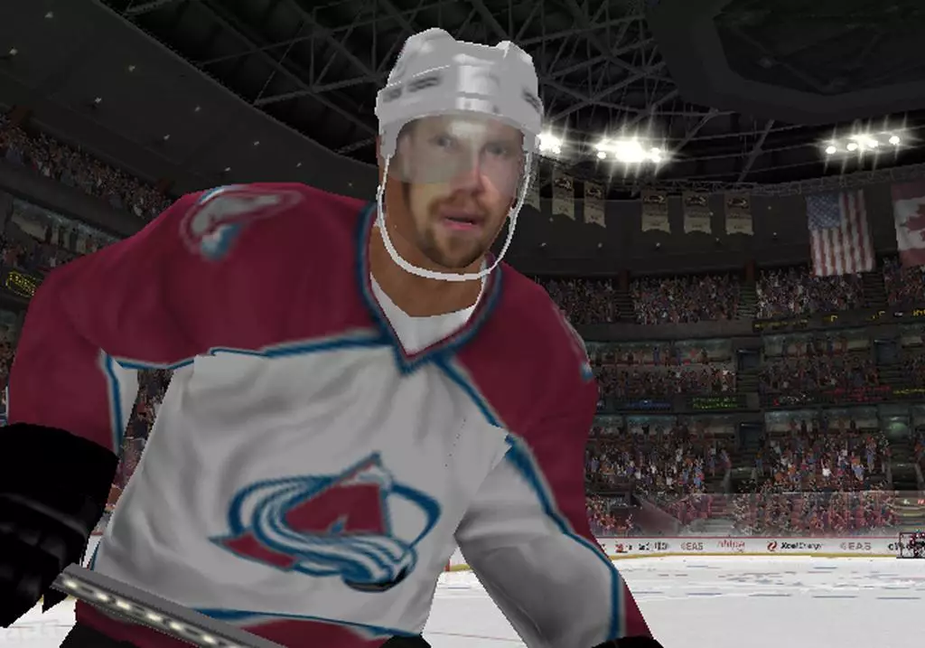-NHL 2005-游戏截图-好玩游戏库