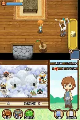 -Harvest Moon DS: The Tale of Two Towns-游戏截图-好玩游戏库