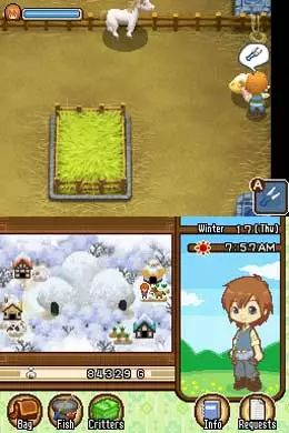 -Harvest Moon DS: The Tale of Two Towns-游戏截图-好玩游戏库