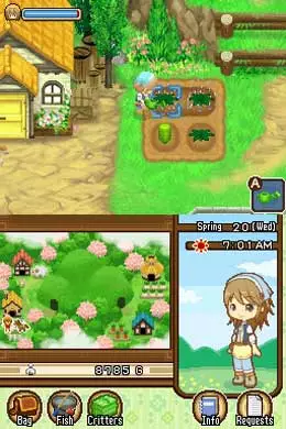 -Harvest Moon DS: The Tale of Two Towns-游戏截图-好玩游戏库