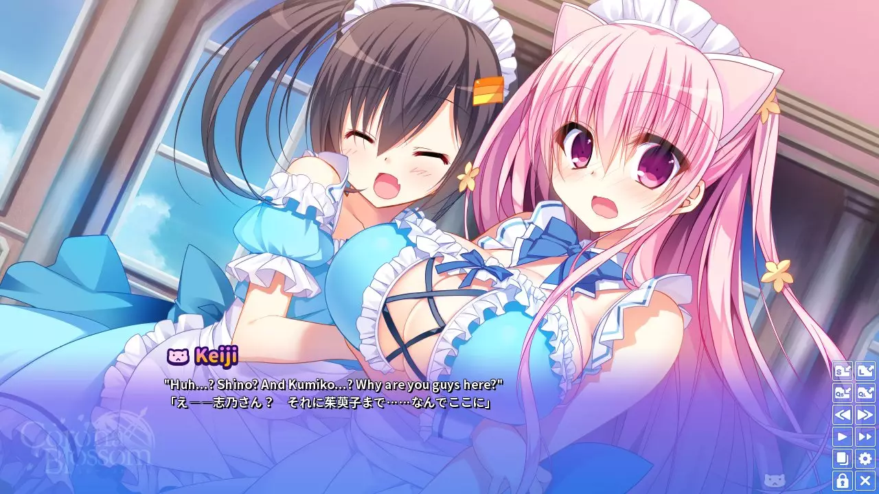 -Corona Blossom Vol.2 The Truth From Beyond-游戏截图-好玩游戏库
