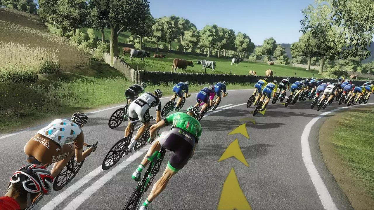 职业自行车队经理 2014-Pro Cycling Manager 2014-游戏截图-好玩游戏库