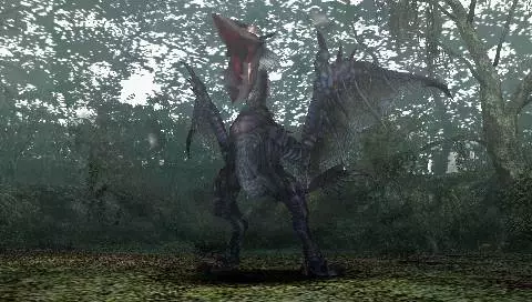 -Monster Hunter Freedom-游戏截图-好玩游戏库