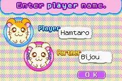 -Hamtaro: Ham-Ham Heartbreak-游戏截图-好玩游戏库