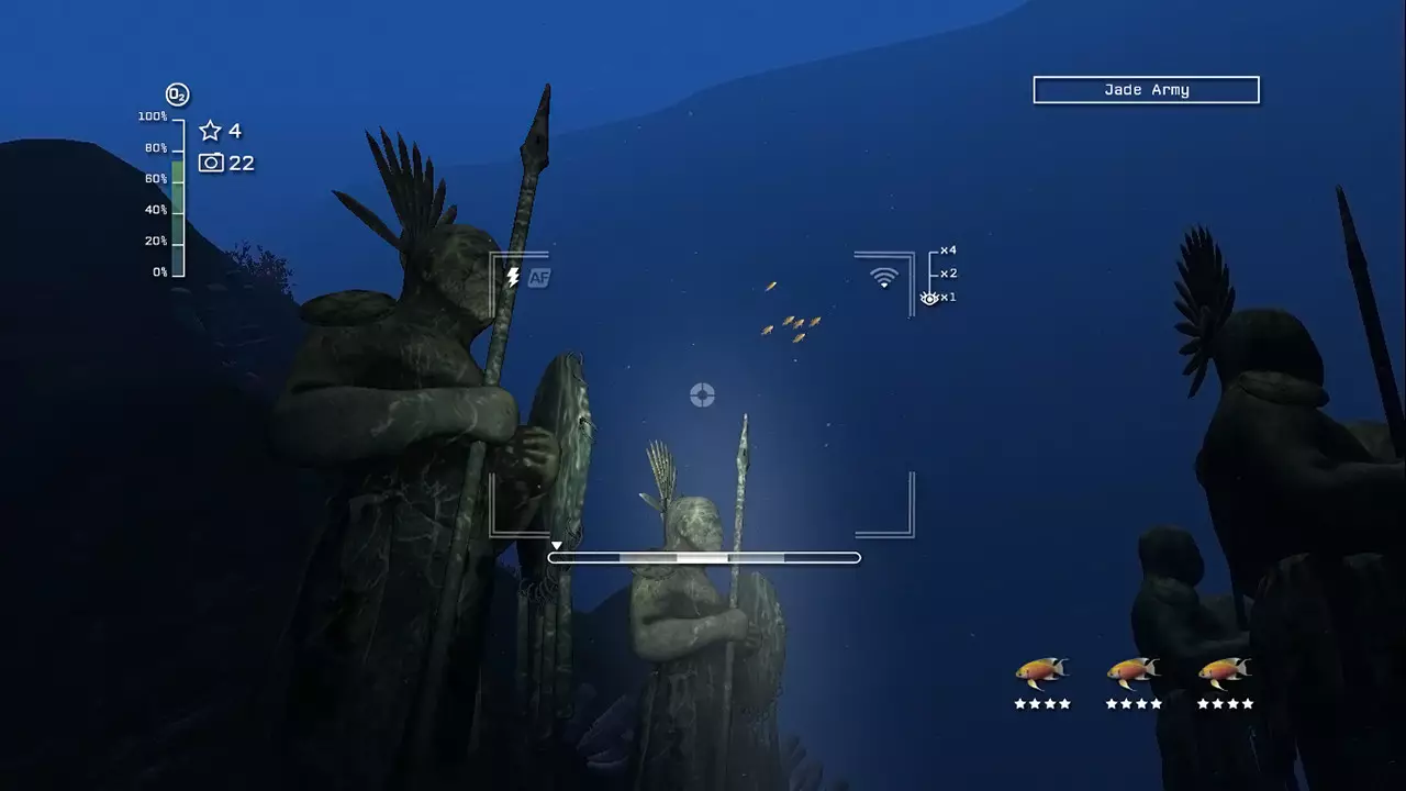 Reef Shot