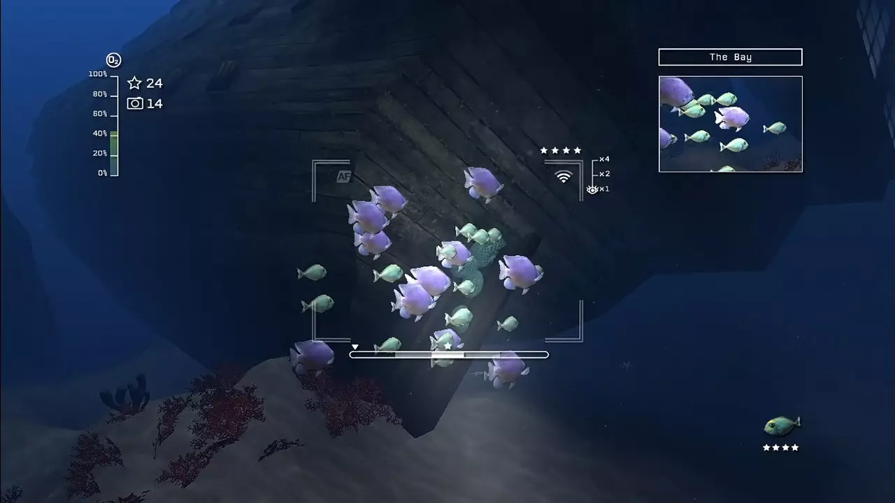 -Reef Shot-游戏截图-好玩游戏库