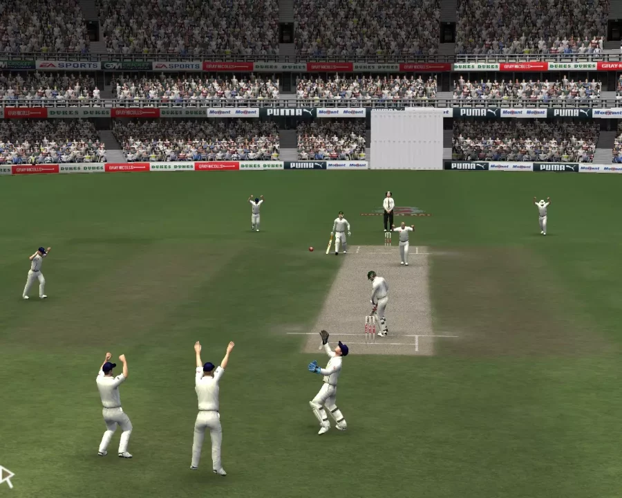 Cricket 07