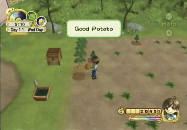 -Harvest Moon: Tree of Tranquility-游戏截图-好玩游戏库