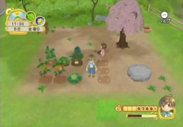 -Harvest Moon: Tree of Tranquility-游戏截图-好玩游戏库