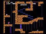 Spelunker