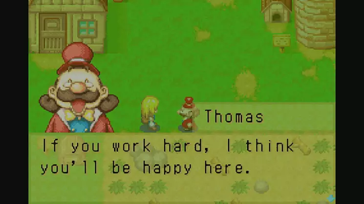 -Harvest Moon: MORE friends of Mineral Town-游戏截图-好玩游戏库