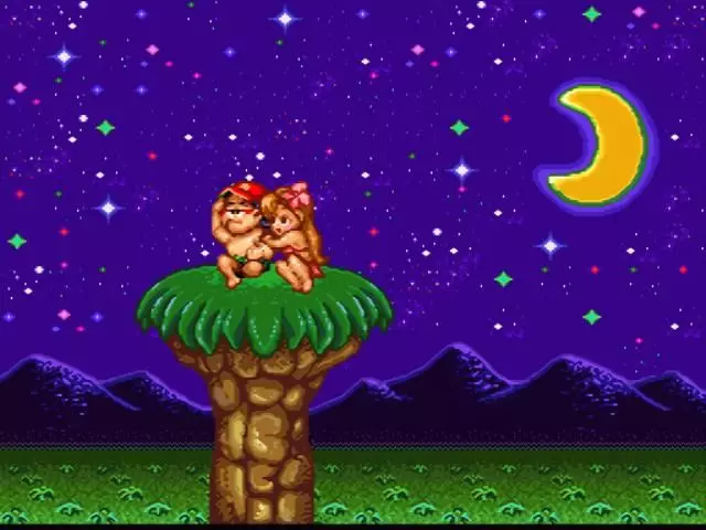 -Super Adventure Island (1992)-游戏截图-好玩游戏库