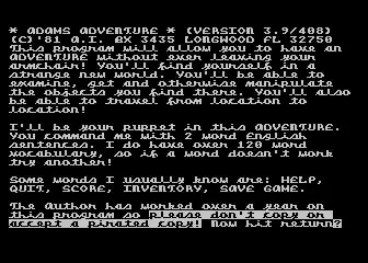 -Pirate Adventure-游戏截图-好玩游戏库