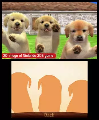 -nintendogs + cats: Golden Retriever & New Friends-游戏截图-好玩游戏库
