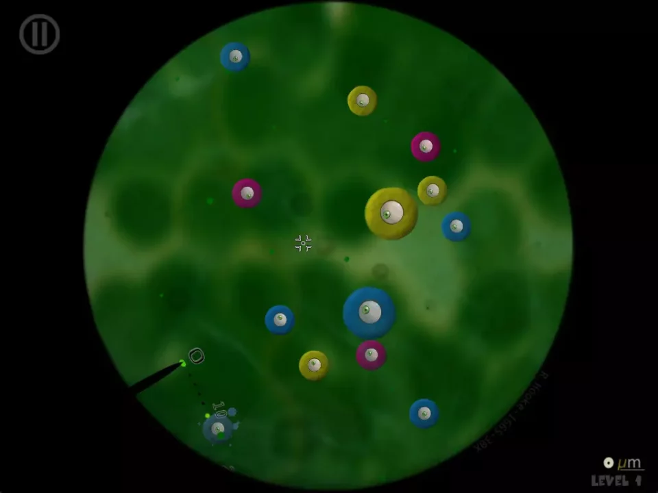Little Cells