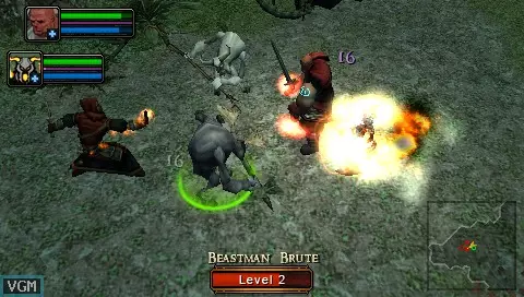 -Dungeon Siege: Throne of Agony-游戏截图-好玩游戏库