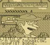-Bart Simpson's Escape from Camp Deadly-游戏截图-好玩游戏库