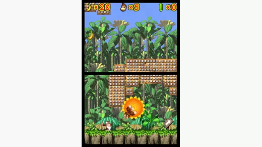 DK: Jungle Climber