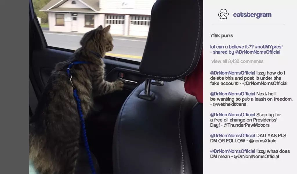 -Cat President ~A More Purrfect Union~-游戏截图-好玩游戏库