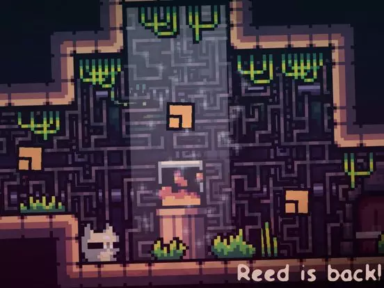 Reed 2