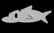 -Shark Dash-游戏截图-好玩游戏库
