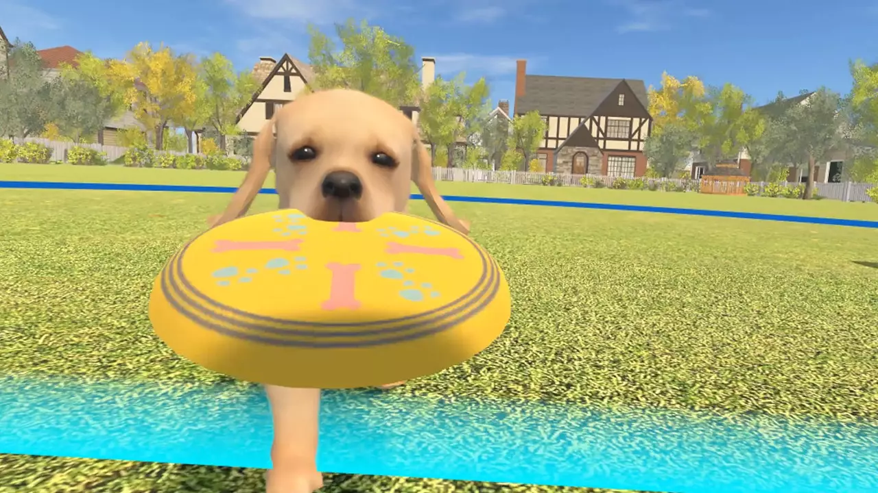 -Dream Pet VR-游戏截图-好玩游戏库