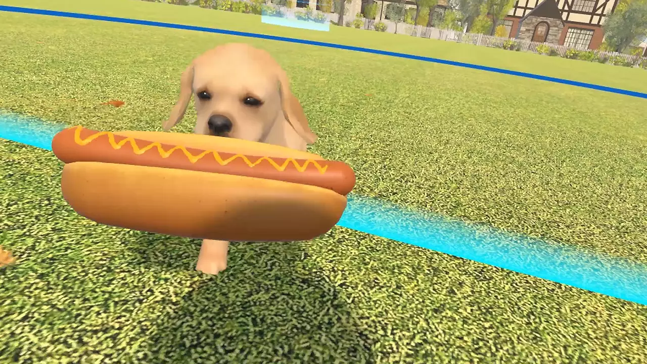 -Dream Pet VR-游戏截图-好玩游戏库