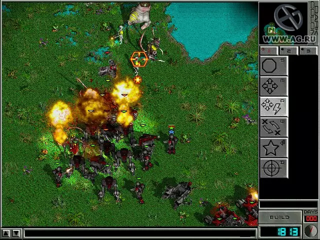 Dark Colony